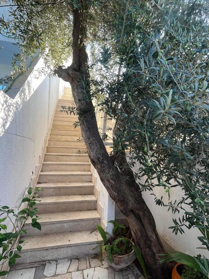 Luxeux Et Ideal A Marsa Plage Vue Sur Mer Apartment La Marsa Exterior photo